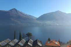 cremia