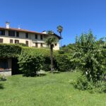 beautiful one bedroom apartment with lake view